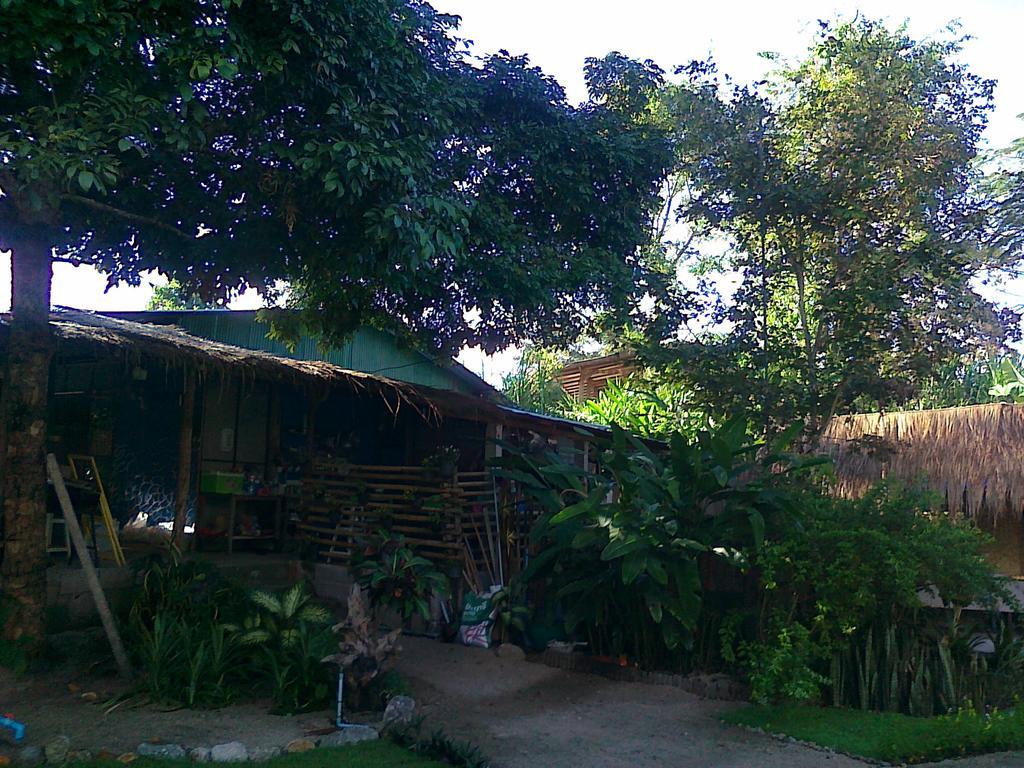 Hotel Pai Bamboo Hut Zewnętrze zdjęcie