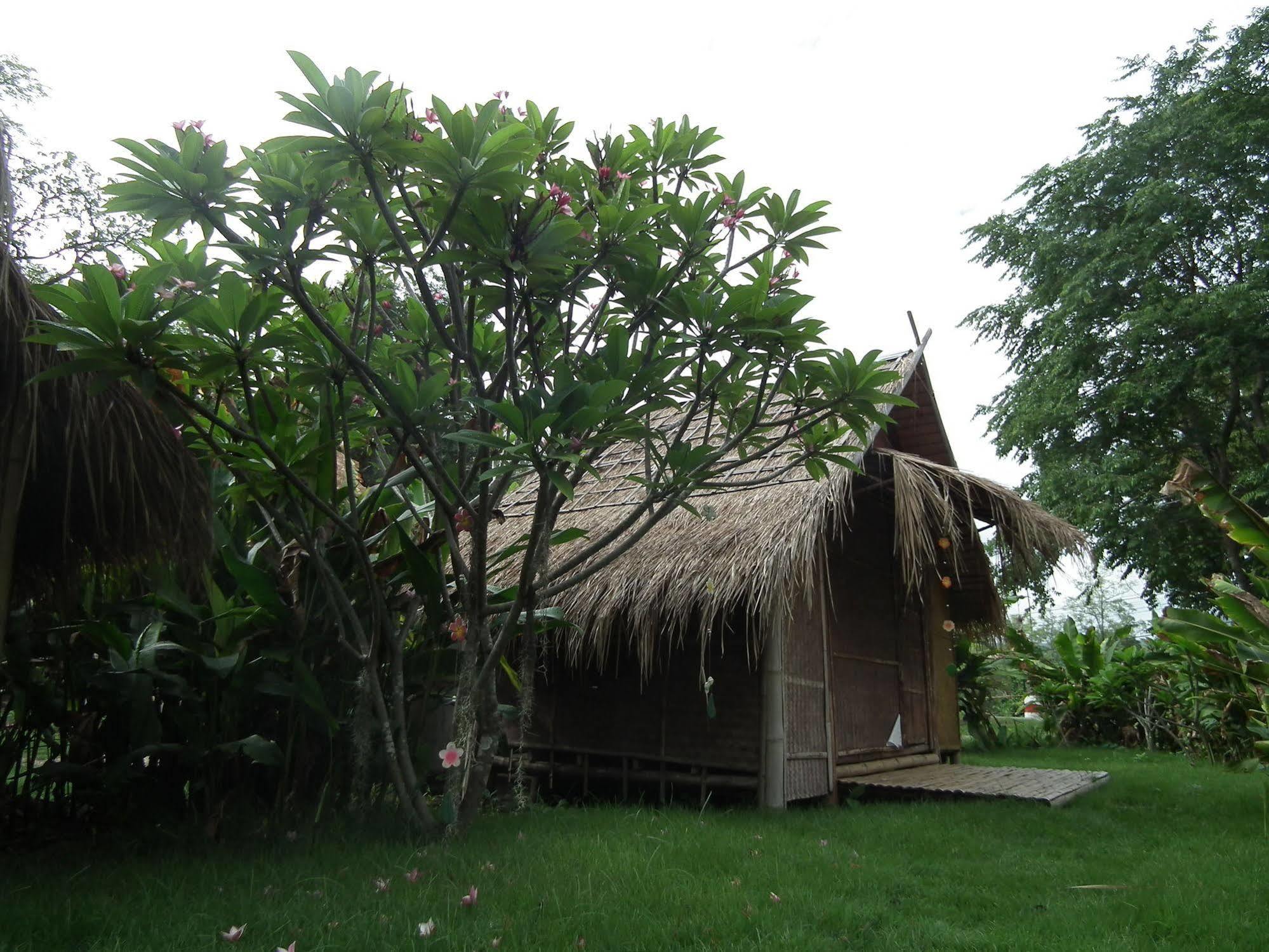 Hotel Pai Bamboo Hut Zewnętrze zdjęcie